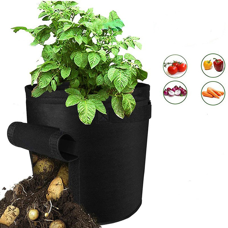 Heavy Duty Thickened Vegetable Container Felt Potato Grow Bags