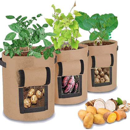 Buy Wholesale China 3 Size Felt Plant Grow Bags Nonwoven Fabric Garden  Potato Pot Greenhouse Vegetable Growing Bags & Grow Bag at USD 0.48