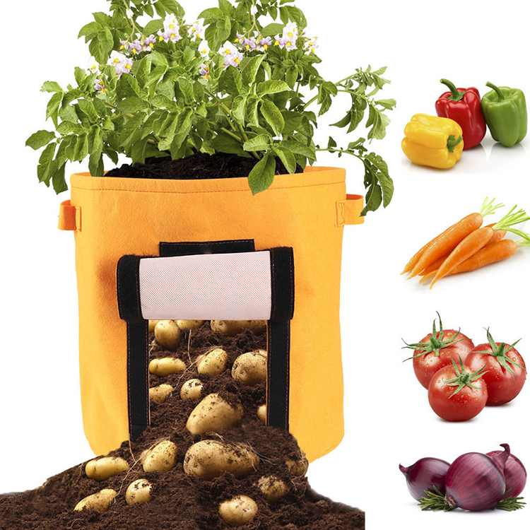 Gallon Non Woven Plant Bags