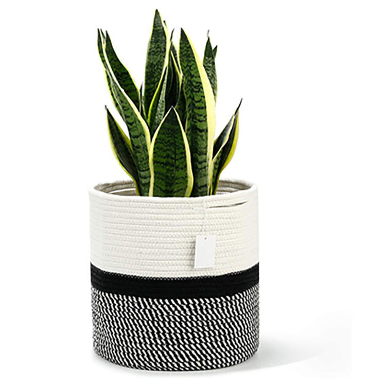 Custom Size Modern Woven Organizer Baskets For Plants Flower Cotton