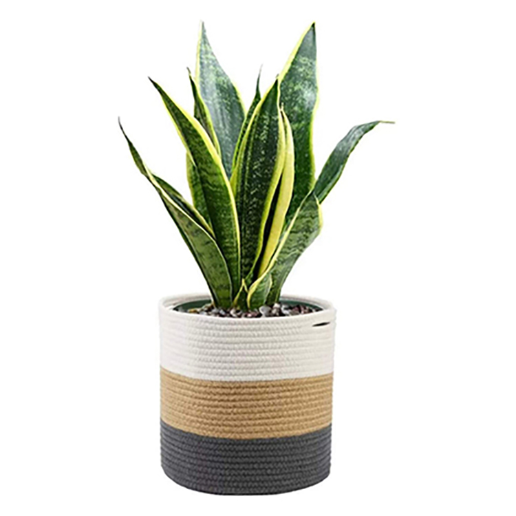 Factory Price Multifunctional Cotton Rope Plant Basket Woven Planter Basket