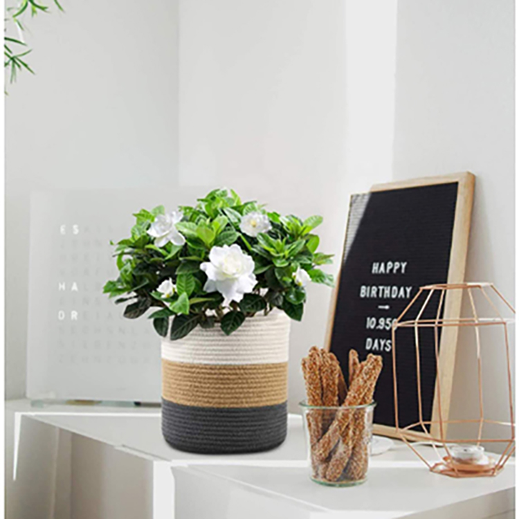 Factory Price Multifunctional Cotton Rope Plant Basket Woven Planter Basket