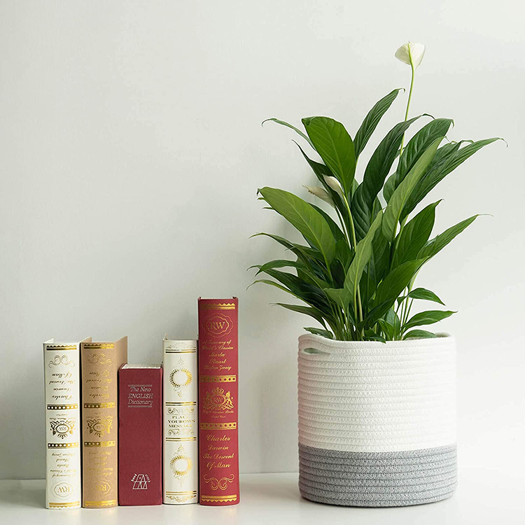 Woven Cotton Rope Plant Basket